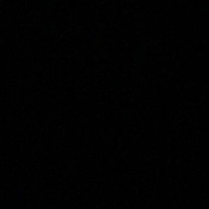 Meet your Posher, Payton